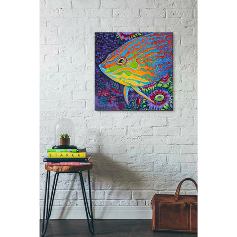 Image of 'Brilliant Tropical Fish I' by Carolee Vitaletti Giclee Canvas Wall Art