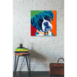 'Cute Pups I' by Carolee Vitaletti Giclee Canvas Wall Art