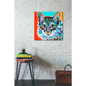 'Dramatic Cats II' by Carolee Vitaletti Giclee Canvas Wall Art