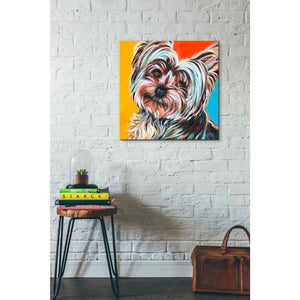 'Sweet Yorkie II' by Carolee Vitaletti Giclee Canvas Wall Art
