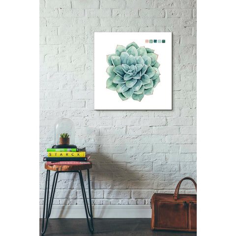 Image of 'Succulent I' by Grace Popp Canvas Wall Art,26 x 26