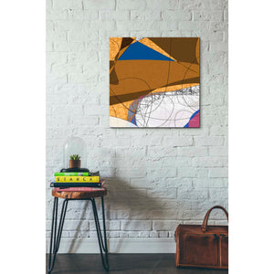 'Tangled I' by James Burghardt Giclee Canvas Wall Art