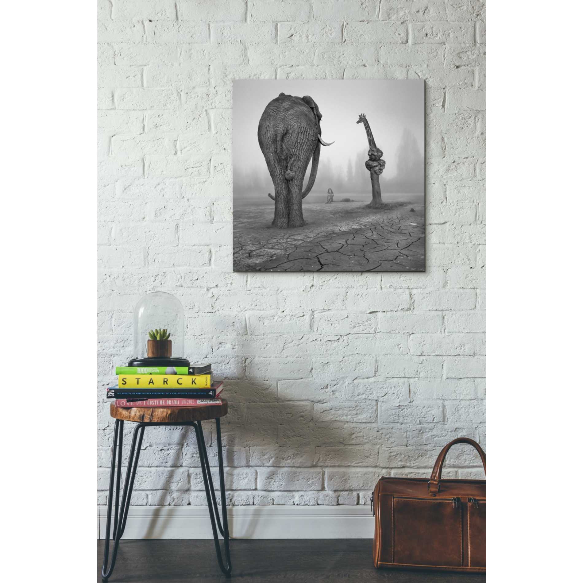 'Animalia' by Dariusz Klimczak, Giclee Canvas Wall Art