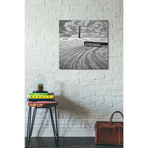 Image of 'Combing the Dunes' by Dariusz Klimczak, Giclee Canvas Wall Art
