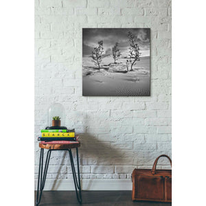 'Egarden' by Dariusz Klimczak, Giclee Canvas Wall Art