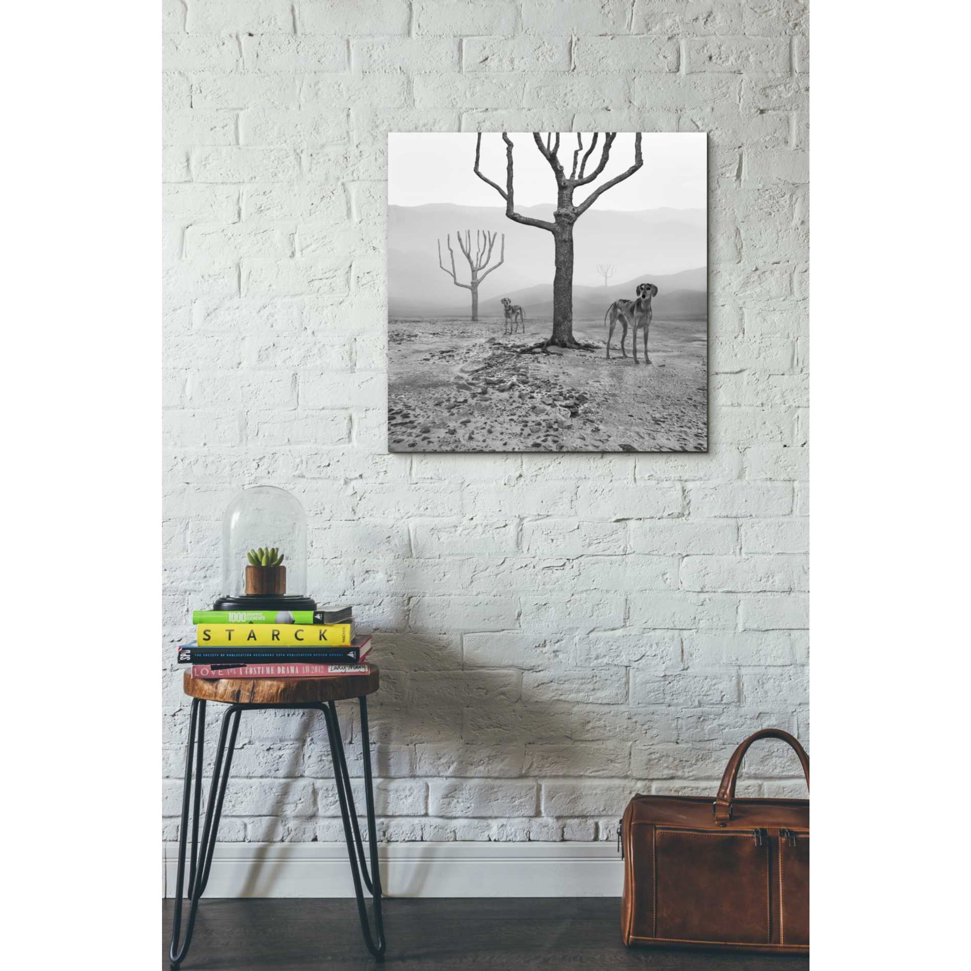 'Dogs in Fog' by Dariusz Klimczak, Giclee Canvas Wall Art