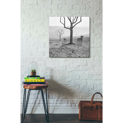 Image of 'Dogs in Fog' by Dariusz Klimczak, Giclee Canvas Wall Art