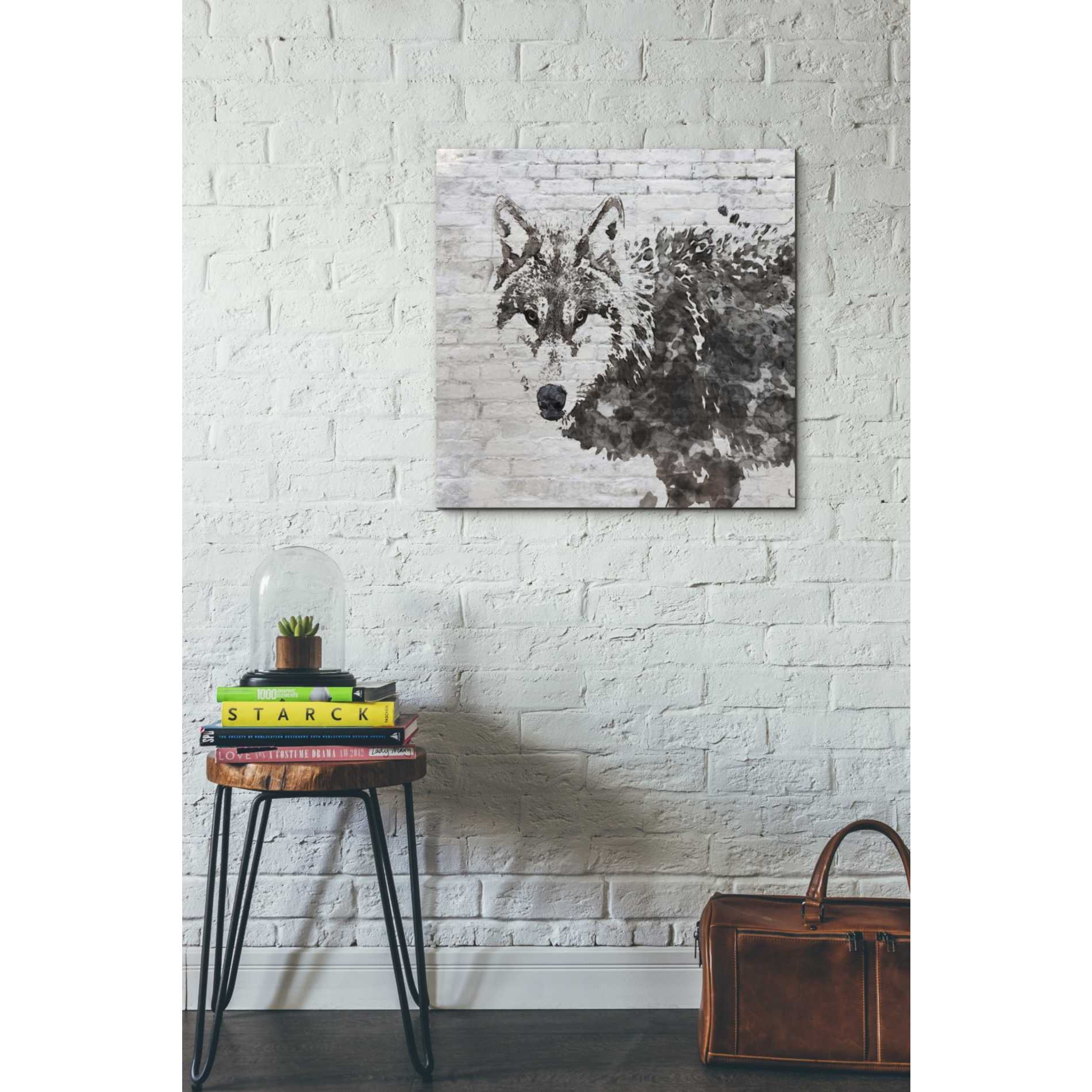 'Lone Wolf' by Irena Orlov, Canvas Wall Art,26 x 26