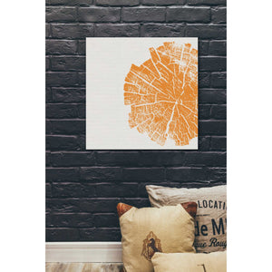 'Orange Slice' by Linda Woods, Canvas Wall Art,26 x 26
