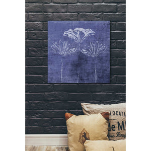 'Indigo Wild Flowers' by Linda Woods, Canvas Wall Art,26 x 26