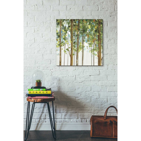 Image of 'Forest Study' by Lisa Audit, Canvas Wall Art,,26 x 26