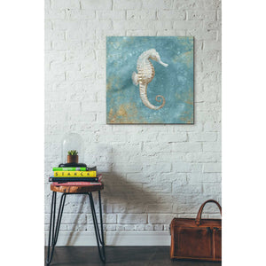'Treasures From The Sea I' by Danhui Nai, Canvas Wall Art,26 x 26