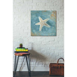'Treasures From The Sea IV' by Danhui Nai, Canvas Wall Art,26 x 26
