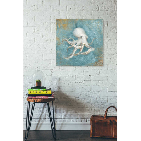 Image of 'Treasures From The Sea V' by Danhui Nai, Canvas Wall Art,26 x 26