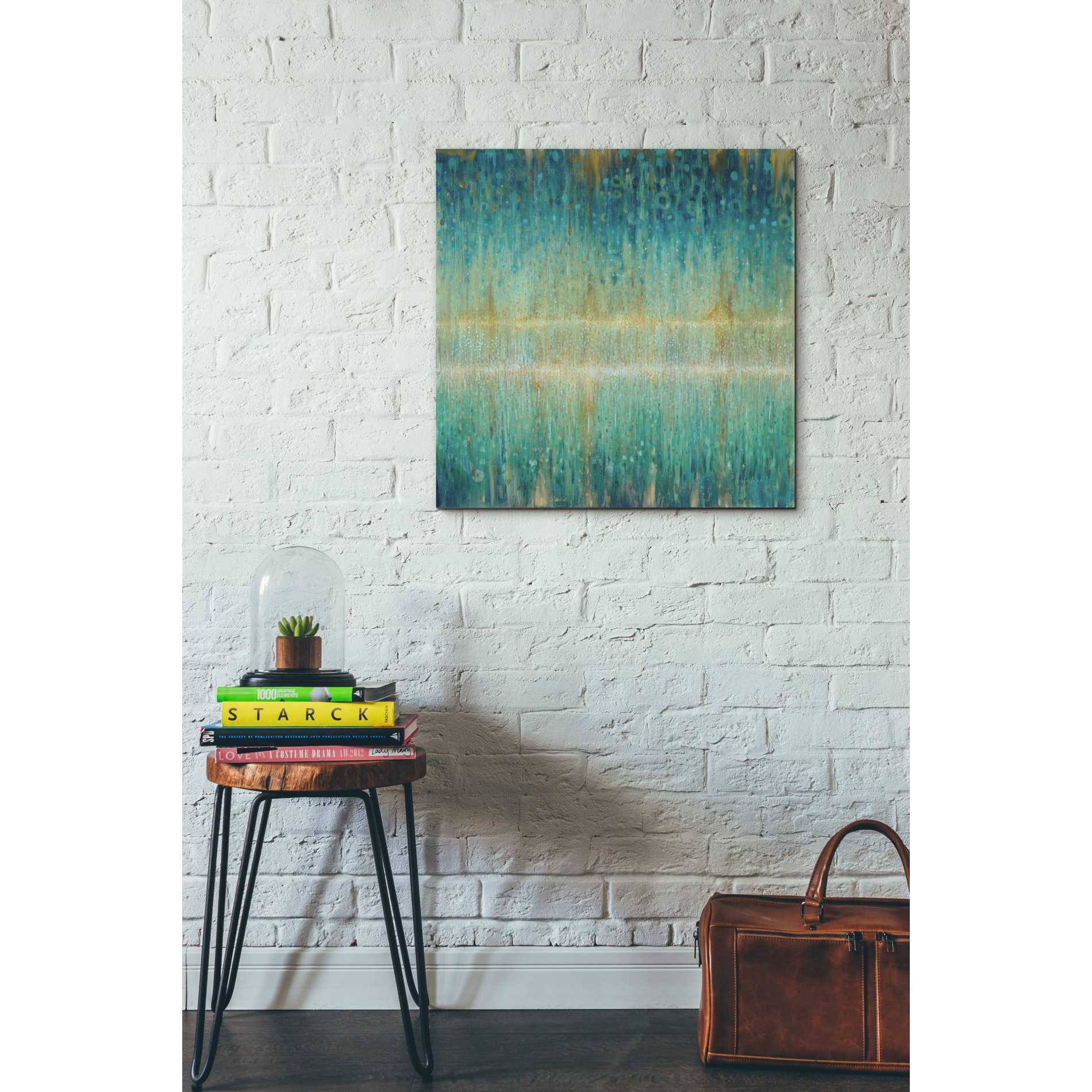 'Rain Abstract I' by Danhui Nai, Canvas Wall Art,26 x 26