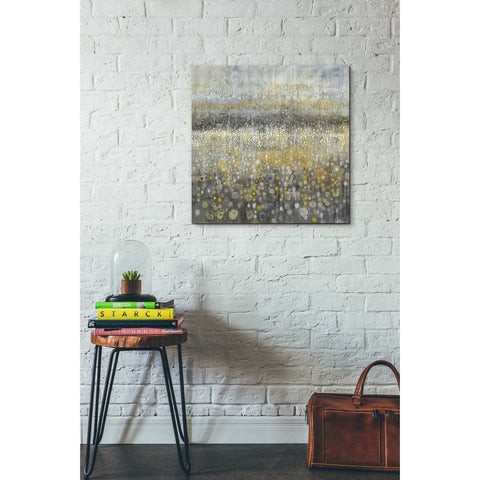 Image of 'Rain Abstract II' by Danhui Nai, Canvas Wall Art,26 x 26