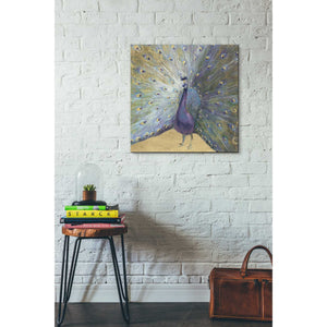 'Purple And Gold Peacock' by Danhui Nai, Canvas Wall Art,26 x 26