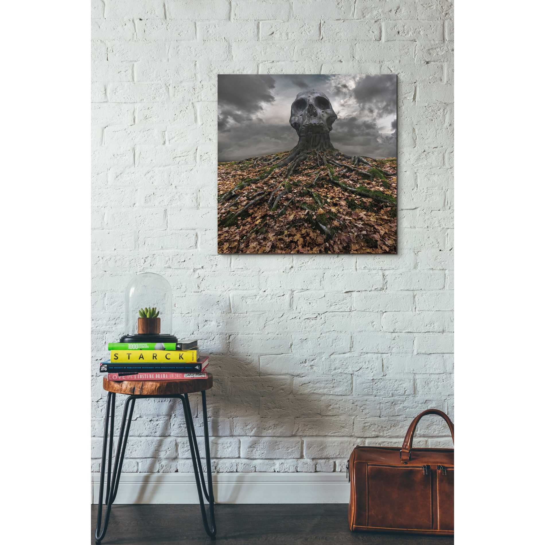 'Czacha' by Dariusz Klimczak, Canvas Wall Art,26 x 26
