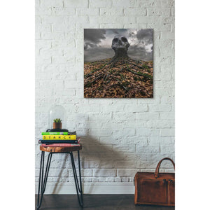 'Czacha' by Dariusz Klimczak, Canvas Wall Art,26 x 26