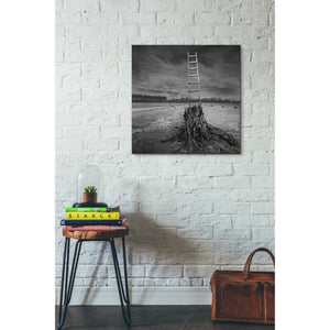 'Jacob's Ladder' by Dariusz Klimczak, Canvas Wall Art,26 x 26