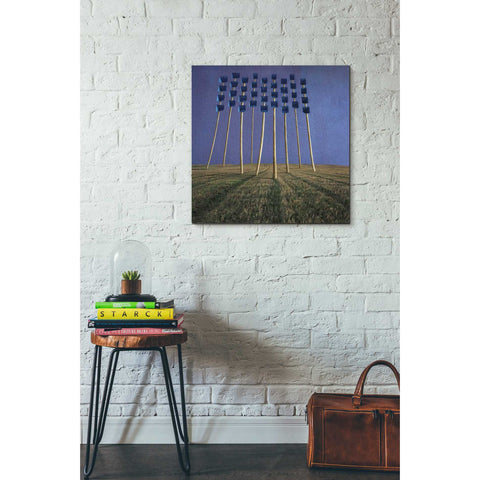 Image of 'Flowers' by Dariusz Klimczak, Canvas Wall Art,26 x 26