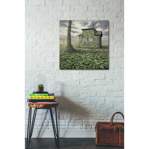 'House of Leaves' by Dariusz Klimczak, Canvas Wall Art,26 x 26