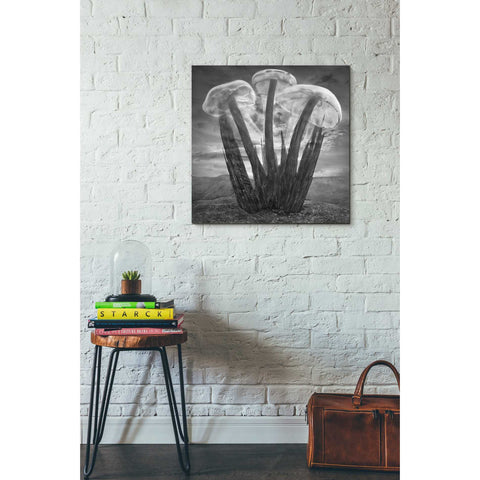 Image of 'Meduzalem' by Dariusz Klimczak, Canvas Wall Art,26 x 26