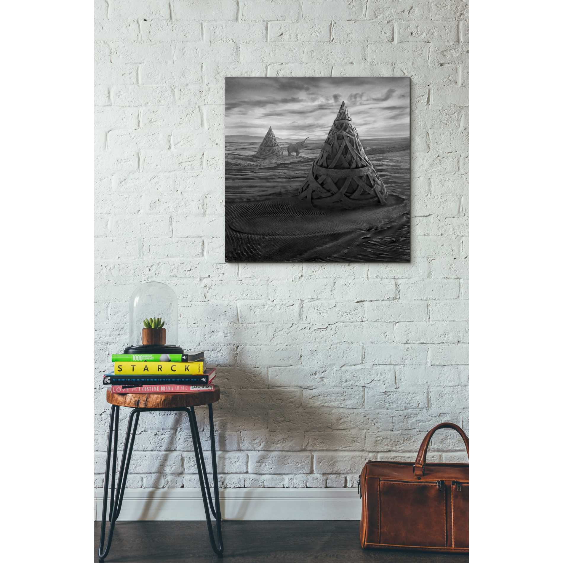 'Oddland' by Dariusz Klimczak, Canvas Wall Art,26 x 26