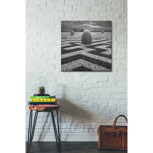 'Ptasi Labirynt' by Dariusz Klimczak, Canvas Wall Art,26 x 26