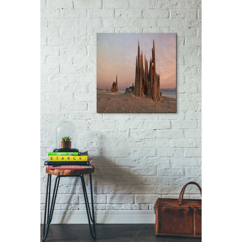 Image of 'Cathedral' by Dariusz Klimczak, Canvas Wall Art,26 x 26