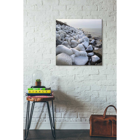 Image of 'Coast' by Dariusz Klimczak, Canvas Wall Art,26 x 26