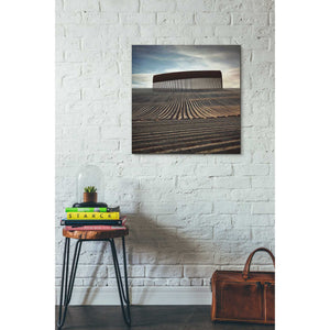 'Combing The Field' by Dariusz Klimczak, Canvas Wall Art,26 x 26