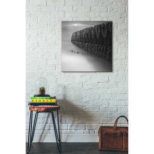 'Citadel' by Dariusz Klimczak, Canvas Wall Art,26 x 26