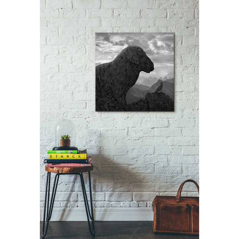 Image of 'Dog Rock' by Dariusz Klimczak, Canvas Wall Art,26 x 26