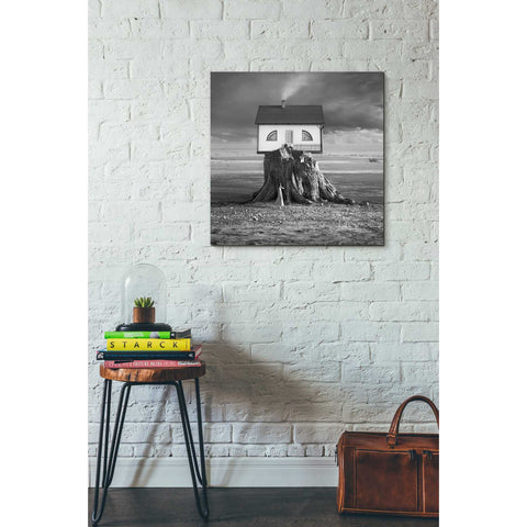 Image of 'House' by Dariusz Klimczak, Canvas Wall Art,26 x 26