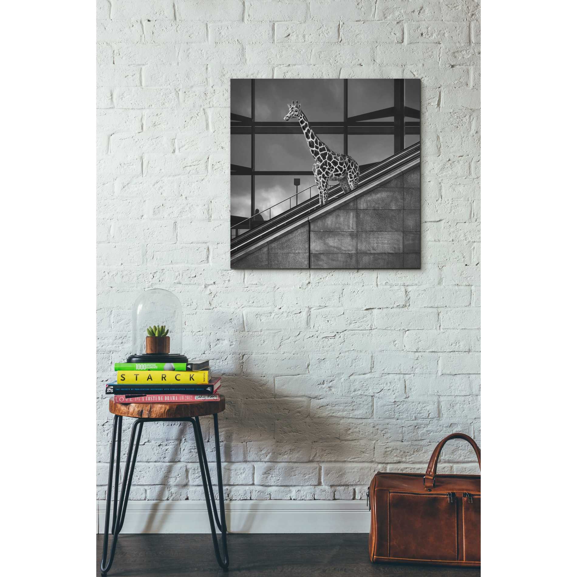 'Downstairs' by Dariusz Klimczak, Canvas Wall Art,26 x 26