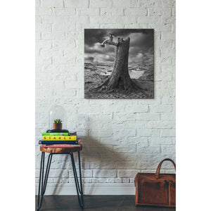 'Dry' by Dariusz Klimczak, Canvas Wall Art,26 x 26