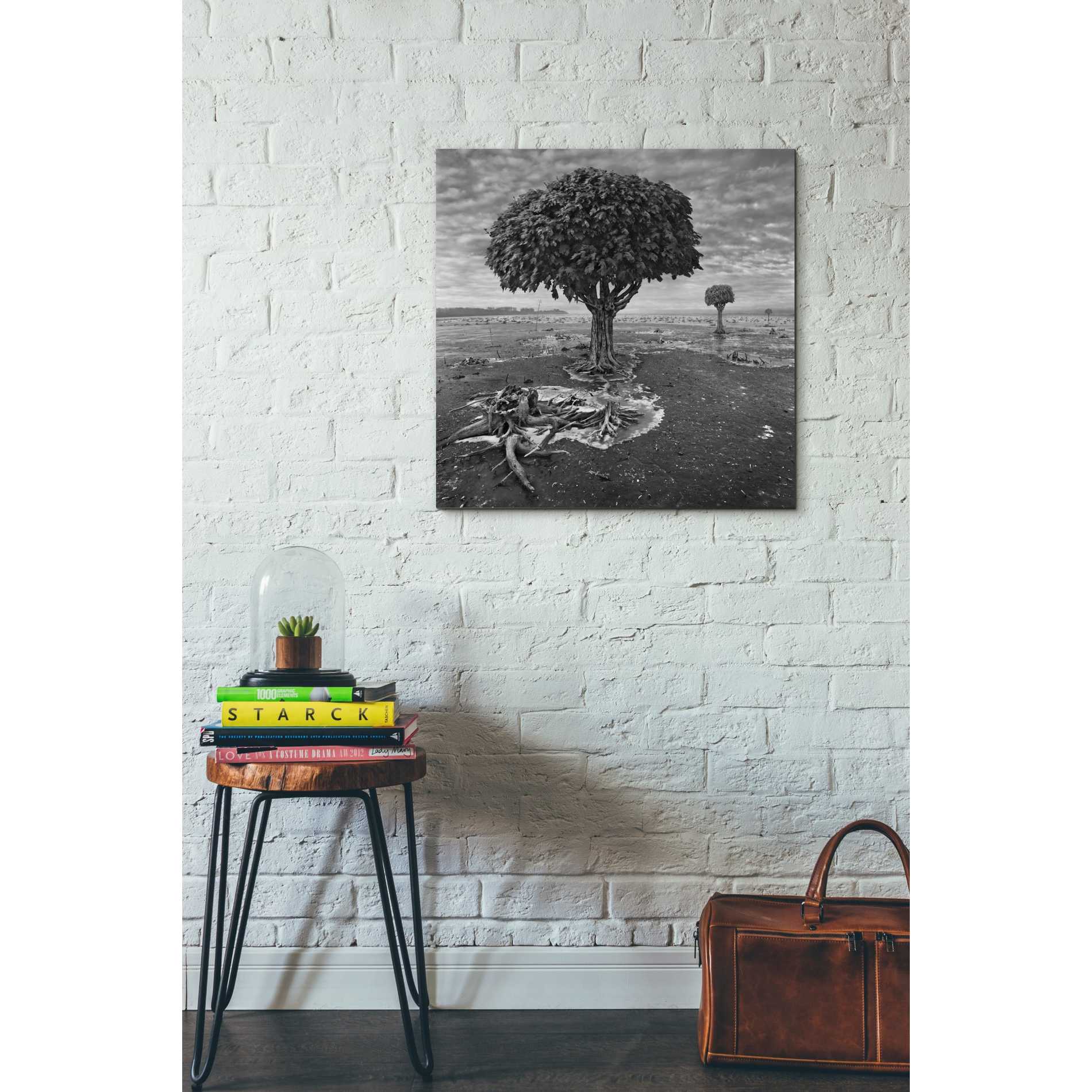 'Trees' by Dariusz Klimczak, Canvas Wall Art,26 x 26