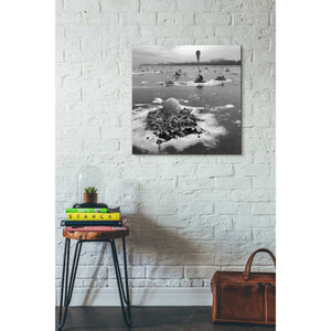 'Frozen Breakfast' by Dariusz Klimczak, Canvas Wall Art,26 x 26