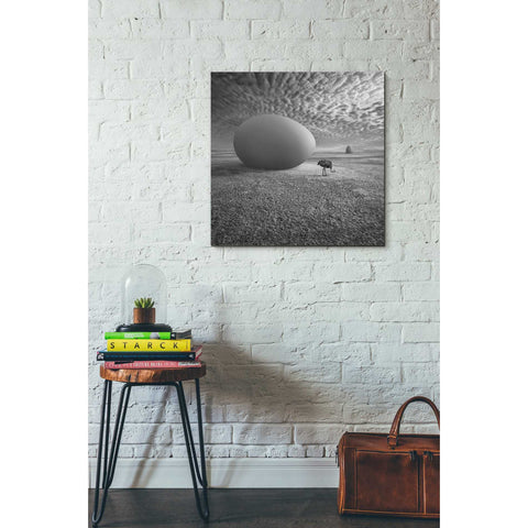 Image of 'EggO' by Dariusz Klimczak, Canvas Wall Art,26 x 26