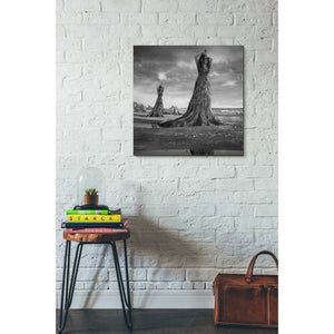 'Moll' by Dariusz Klimczak, Canvas Wall Art,26 x 26