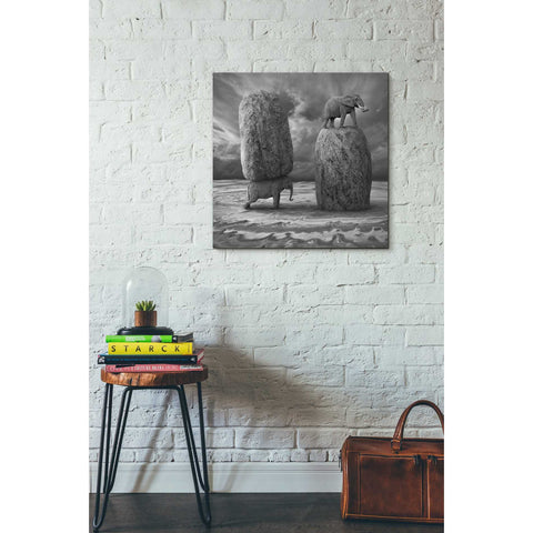 Image of 'Relativity' by Dariusz Klimczak, Canvas Wall Art,26 x 26