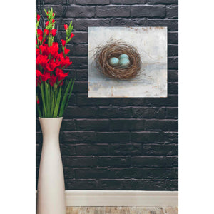 'Rustic Bird Nest I' by Ethan Harper Canvas Wall Art,30 x 26