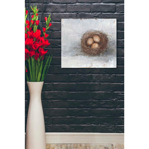 'Rustic Bird Nest II' by Ethan Harper Canvas Wall Art,30 x 26