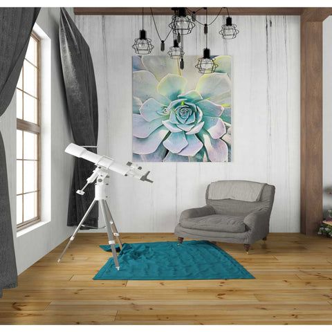 Image of 'Unique Succulent' by Irena Orlov, Canvas Wall Art,26 x 30