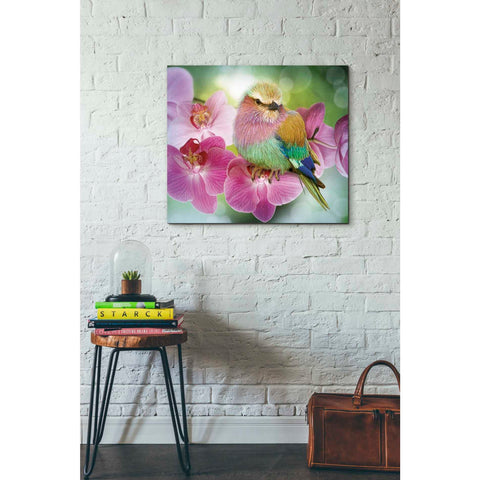 Image of 'Pretty Boy' by Steve Hunziker, Canvas Wall Art,30 x 26