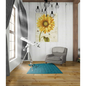 'Under The Sun I' by Lisa Audit, Canvas Wall Art,,26 x 30