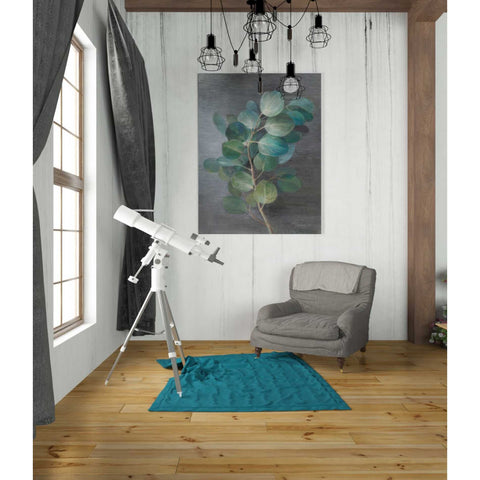 Image of 'Fresh I' by Danhui Nai, Canvas Wall Art,26 x 34