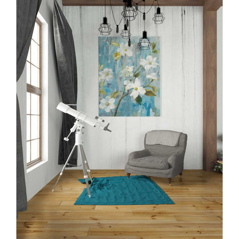 Image of 'Graceful Magnolia I' by Danhui Nai, Canvas Wall Art,26 x 34