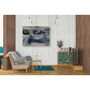 'Midnight Ice' Canvas Wall Art,26 x 34